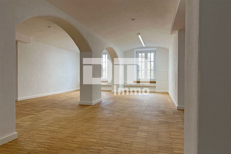 Repräsentative Büroflächen Erstbezug im historischen „Quartier Magazinhof“ auch teilbar - Bürobereich Souterrain